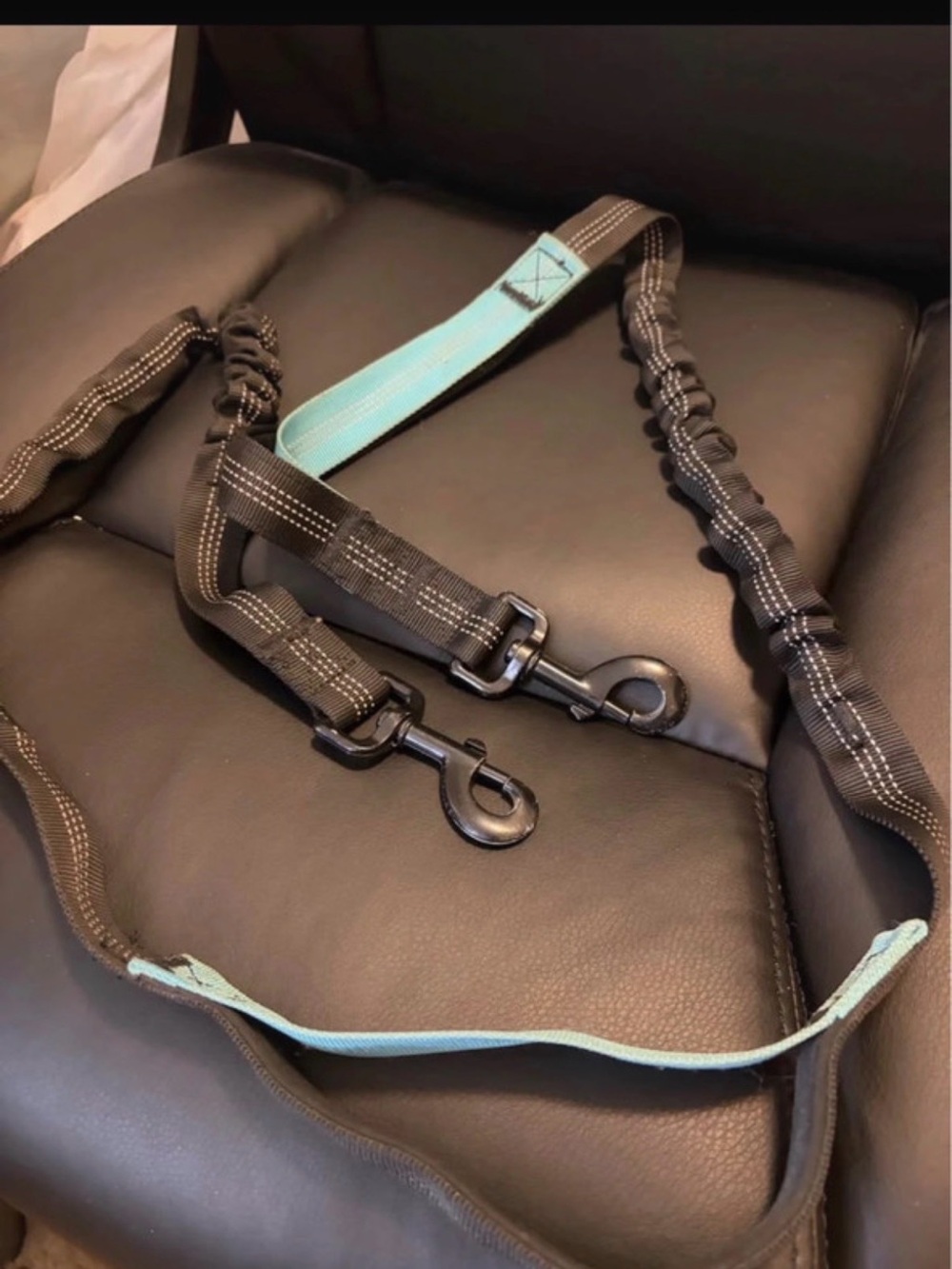 Running Leash For Dogs